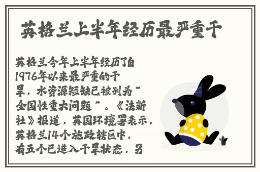 剧烈摇床打扑克的游戏