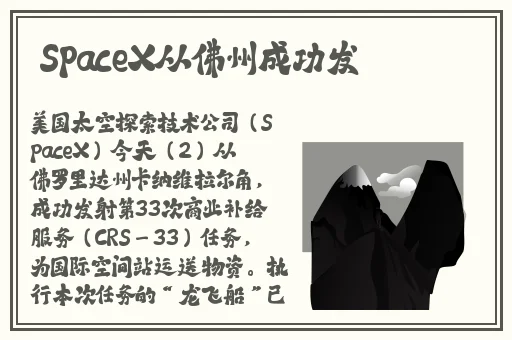 张婉莹活的不如水墨笔系列