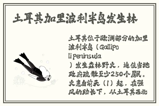 草莓视频app在线观看视频